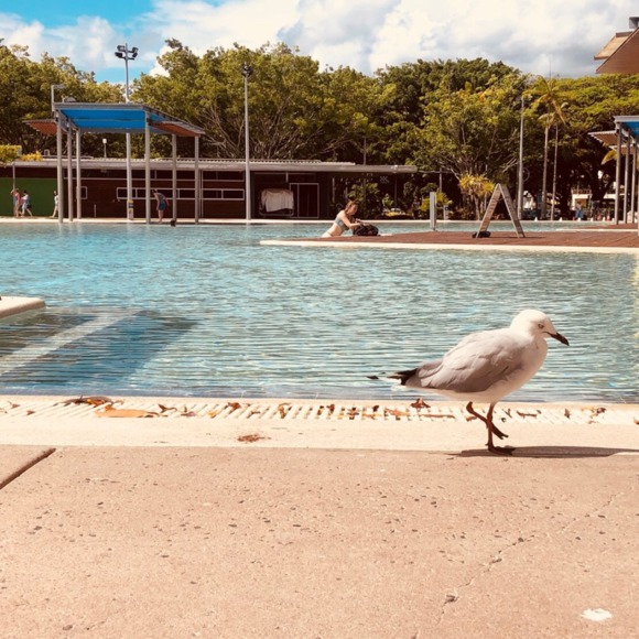 Meet your Posher, Yang - Picture 2 of 2